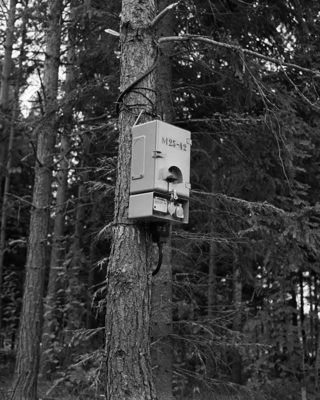 Sähkömittarin kotelo kiinnitettynä männyn runkoon keskellä metsää.